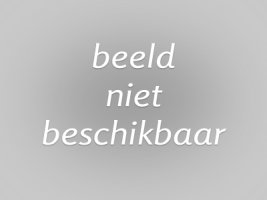 Volg je passie, zoals Caroline